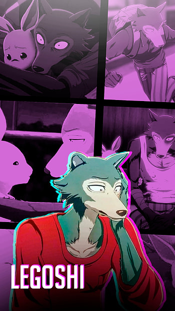 legoshi, magenta, art, wolf, beastars, anime HD phone wallpaper