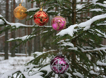 Holidays, New Year, Snow, Forest, Holiday, Branch, Christmas Tree, Balls HD wallpaper