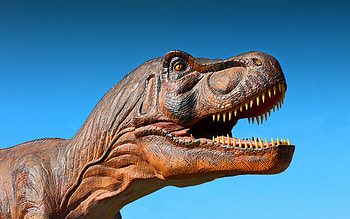 Tyrannosaurus Rex, T Rex, 3d dinosaur, Tyrannosaurus, dinosaurs, theropod dinosaur HD wallpaper