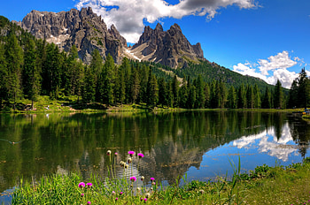 Lake Misurina, mirror, landscape, beautiful, grass, rocks, serenity, mountain, lake, trees, flowers, sky, forest HD wallpaper
