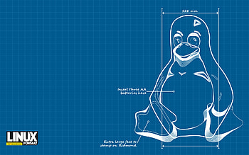 Kali Linux | Kali Linux HD wallpaper