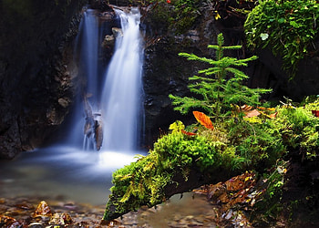 Water Magic, graphy, beautiful, nice, green, nature, amazing, water, lovely, forest HD wallpaper