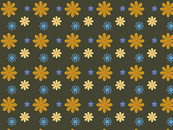 Flowers, Camomile, Patterns, Texture, Textures HD wallpaper