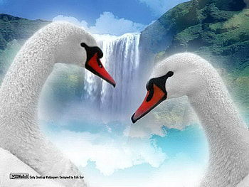 swans, blue, pretty, light, water, water fall, nice HD wallpaper