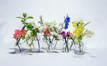 Camomile, Flowers, Water, Roses, Bluebells, Chamomile, Banks HD wallpaper