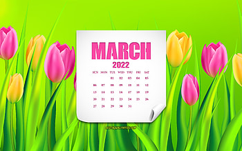 2022 March Calendar, , background with tulips, 2022 spring calendar, 2022 concepts, March 2022 Calendar, tulips, spring flowers, March HD wallpaper