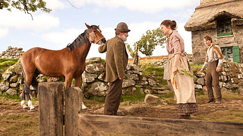War Horse, Majestic steed, Poignant movie, Evocative visuals HD wallpaper