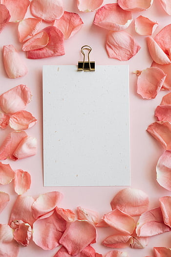 Top view of a blank sheet clipped amidst rose petals on a pastel pink background, perfect for romantic designs. HD phone wallpaper