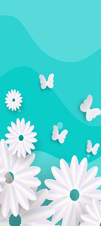 White Flowers, blue HD phone wallpaper