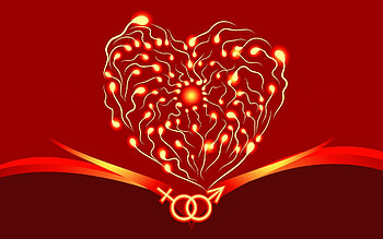 Hearts, Love, Valentine's Day HD wallpaper