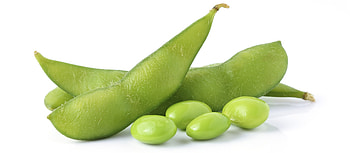Edamame, Local, Japanese, Soybeans HD wallpaper