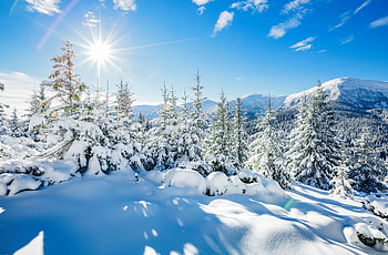 Winter in mountains, winter, frost, snow, trees, sky, beautiful, sun, mountain, rays HD wallpaper