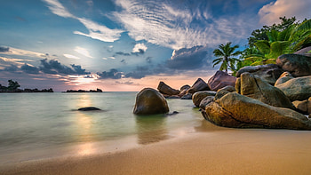 Seychelles boulders, Coastal beauty, Palm-fringed beaches, Stunning rock formations HD wallpaper