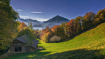 The Bernese Alps, Lake Thun, Switzerland, trees, clouds, sky, mountains, forest HD wallpaper