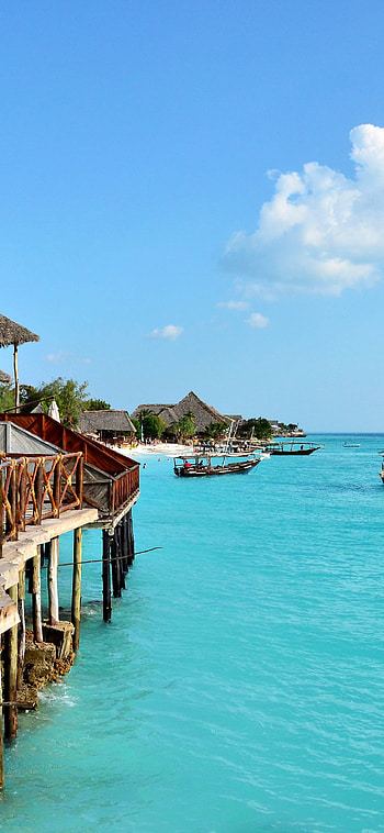 Zanzibar beach , Tropical beauty, background, Coastal escape HD phone wallpaper