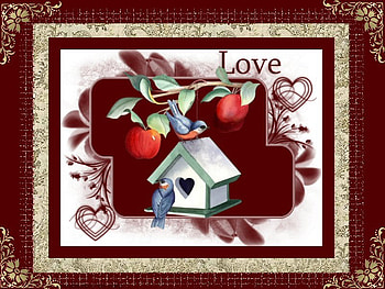 birdhouse love, valentine, birds, red, hearts, apple, birdhouse HD wallpaper