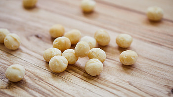Macadamia tree, Backyard troubles, Nut cultivation, Australian macadamias HD wallpaper