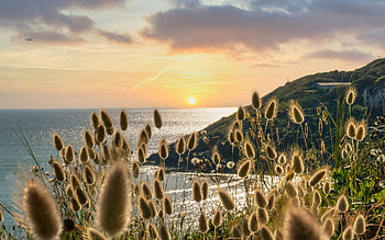 Sunset in France, sea, coast, bentgrass, France, cliff, sunset HD wallpaper