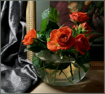 red roses vase, art , still life, roses, red, glass, beautiful, vese, water HD wallpaper