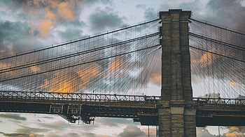 Cables, Brooklyn Bridge HD wallpaper