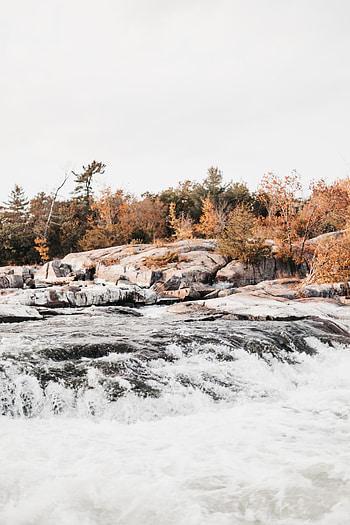Nature, Water, Rivers, Trees, Stones, Flow, Stream HD phone wallpaper