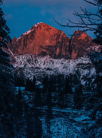Winter, Nature, Twilight, Snow, Mountain, Branches, Dusk HD phone wallpaper