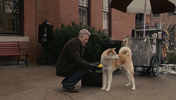 Hachi: A Dog& HD wallpaper