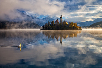Morning, swan, castle, lake HD wallpaper