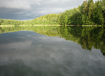 Forest lake after storm, clouds, after storm, forest, lake HD wallpaper