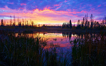 Fall in Northern Alberta, sunset, landscape, trees, colors, clouds, sky, canada, lake HD wallpaper