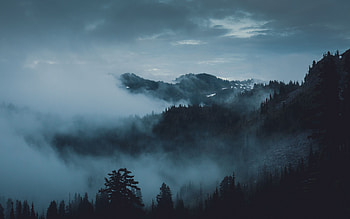 Nature, Trees, Mountains, Usa, Fog, United States, Olympic National Park, Port Angeles HD wallpaper