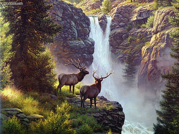 Elk, waterfalls, forest, painting HD wallpaper