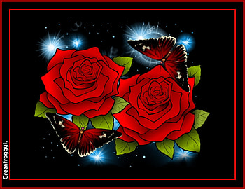 ROSES AND BUTTERFLIES, ART, ROSES, ABSTRACT, BUTTERFLIES HD wallpaper