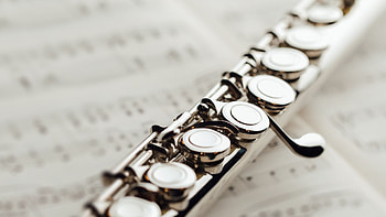 Flute, Online flute classes, Shine School of Music HD wallpaper