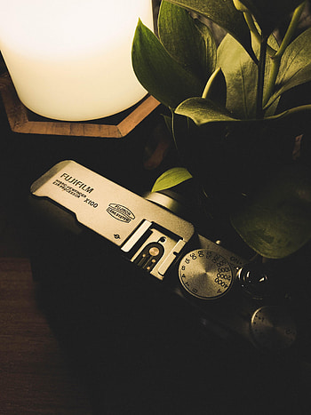 Plant, Dark, Lamp, Camera HD phone wallpaper