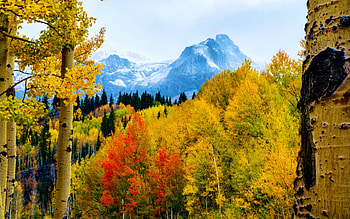 Fall in Aspen, Colorado, leaves, clouds, autumn, landscape, trees, colors, sky, mountains, usa HD wallpaper