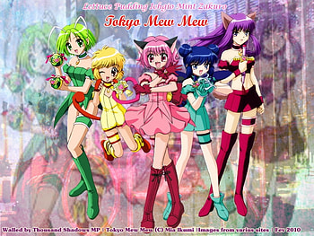 tokyo mew mew, mint, ichigo, lettuce, pudding, zakuro HD wallpaper