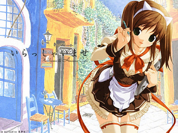 maid, neko, anime, pretty, , cute, hq, girl HD wallpaper