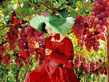 Feminine Red, gown, hat, colorful, vibrant, grapes, girl, butterflies, vivid, green, red, bright, bold HD wallpaper