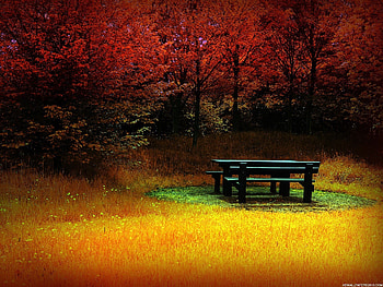 fall backgrounds - www.-in-.com HD wallpaper