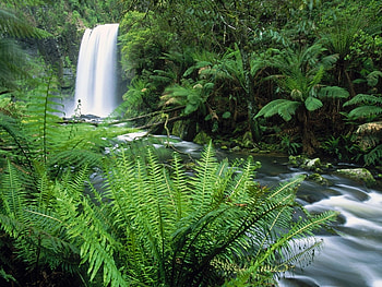 Landscape, Nature, Waterfalls HD wallpaper