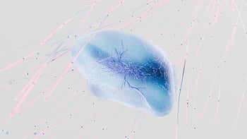 A 3D rendering of a neural network with abstract neuron connections in soft colors. HD wallpaper