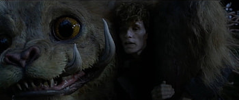 Fantastic Beasts, Newt's new menagerie, Magical creatures HD wallpaper