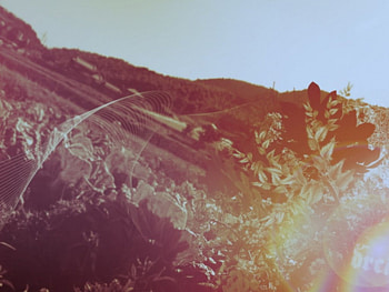 Dream, abstract, 3d HD wallpaper