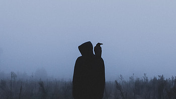 Raven, Loneliness, Silhouette, Miscellanea, Miscellaneous, Fog, Hood HD wallpaper