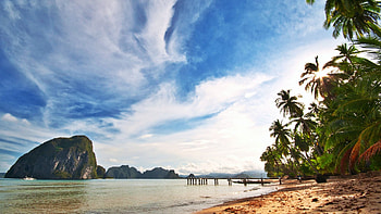Tropical Beach, sea, sky, rocks, palm trees, clouds HD wallpaper