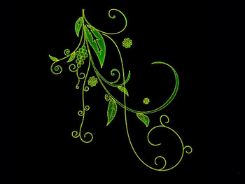Green Grapes, vines, leaves, flower HD wallpaper