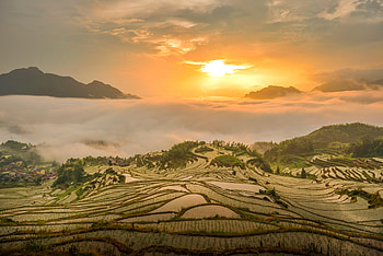 Landscape, Nature, Sunset, Fog, Hill HD wallpaper