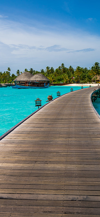 Maldives' Pier, tropical, palm tree, island, turquoise, sea, ocean, man made, pier HD phone wallpaper