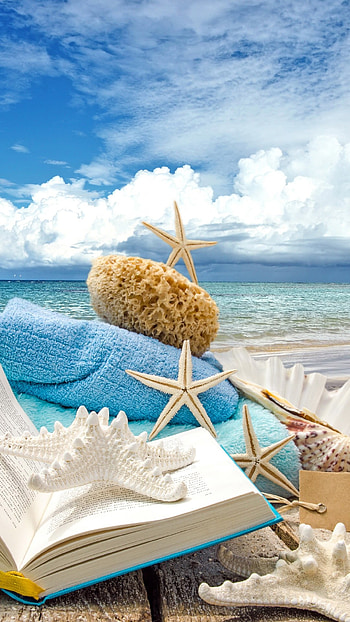 ... Summer Summer Beach Book Seashells Sea Stars 6 Plus ... HD phone wallpaper